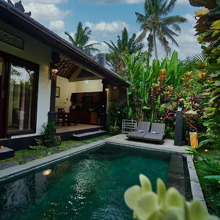 Pondok Buda Merta 2 Ubud  Exterior photo